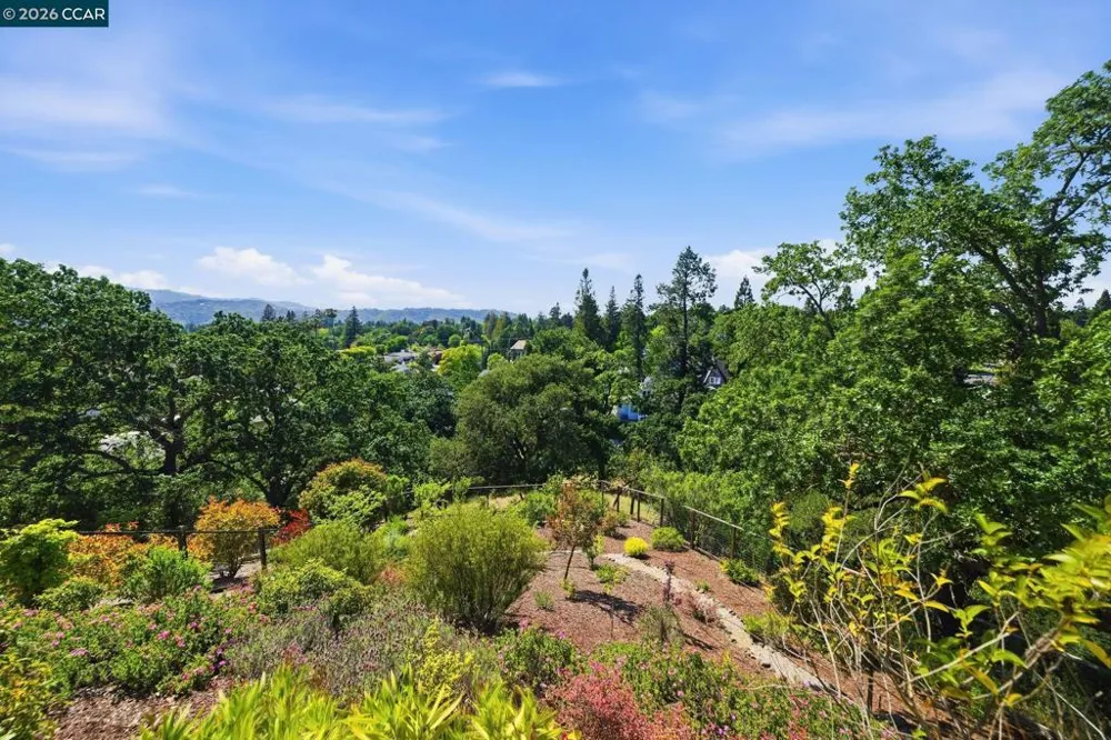 2426 Heritage Oaks Dr Alamo, CA 94507