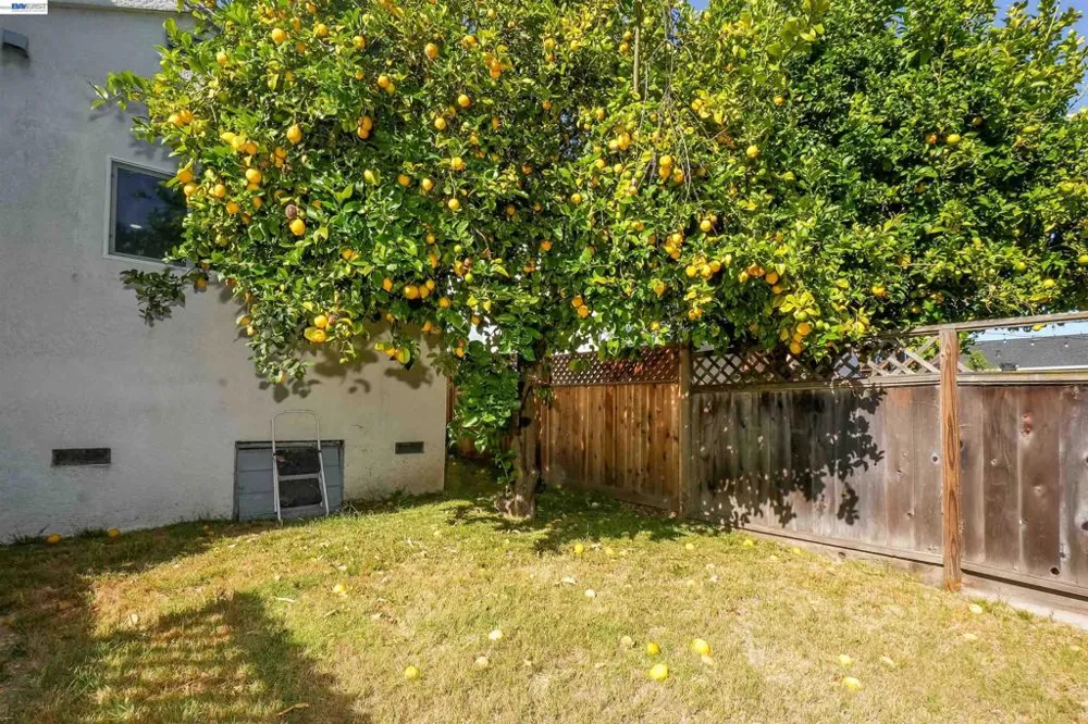 4315 Omega Ave Castro Valley, CA 94546
