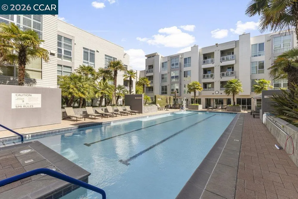 1655 California Blvd #232 Walnut Creek, CA 94596