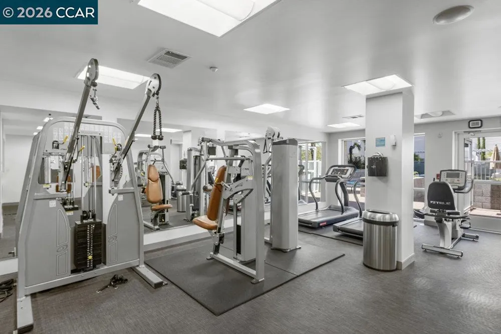 1655 California Blvd #232 Walnut Creek, CA 94596