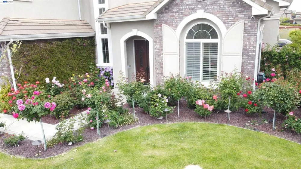 5637 Saddle Creek Ter Dublin, CA 94568