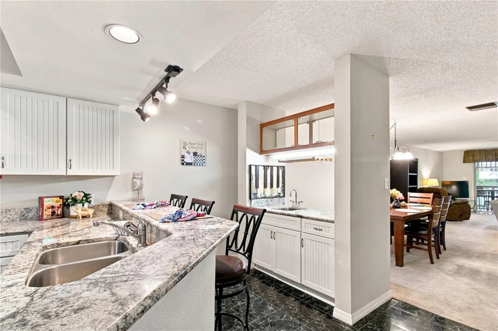 2599 DOLLY BAY DRIVE #306 Palm Harbor, FL 34684
