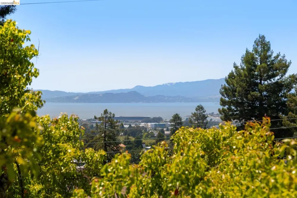 1409 Scenic Ave Berkeley, CA 94708