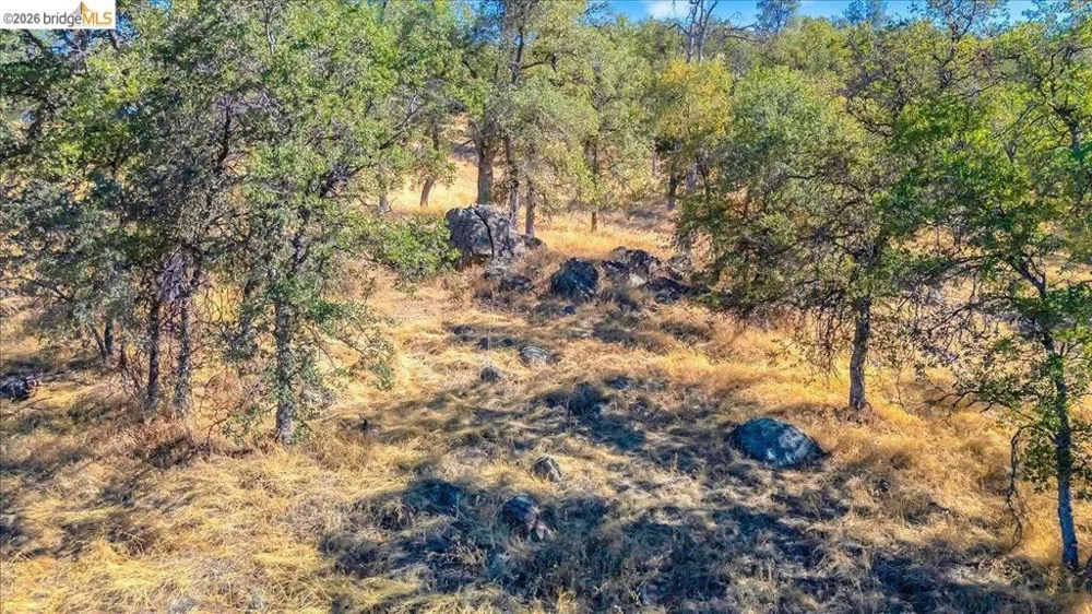 Henry D Court Sonora, CA 95370