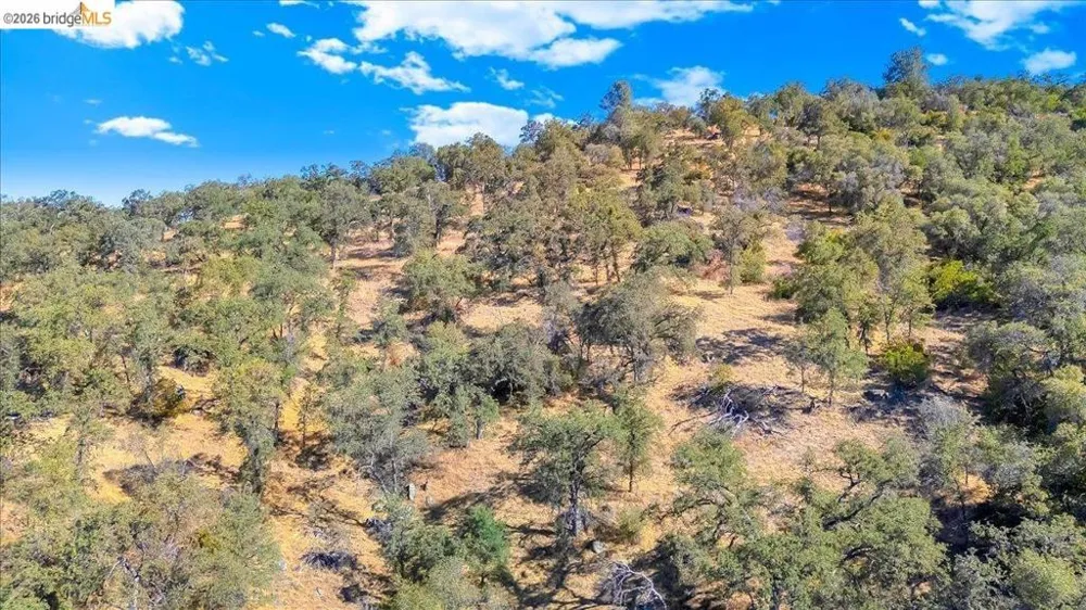Henry D Court Sonora, CA 95370