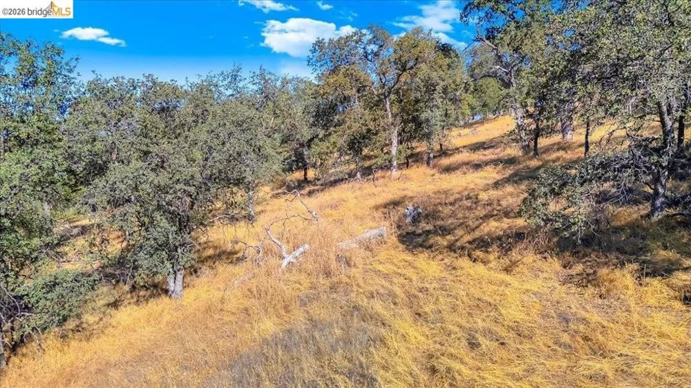 Henry D Court Sonora, CA 95370