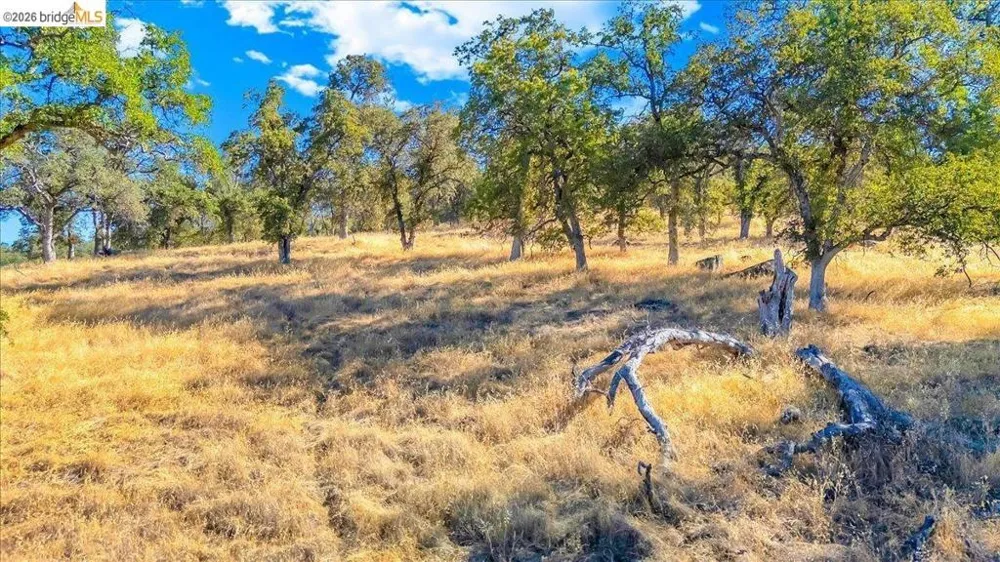 Henry D Court Sonora, CA 95370