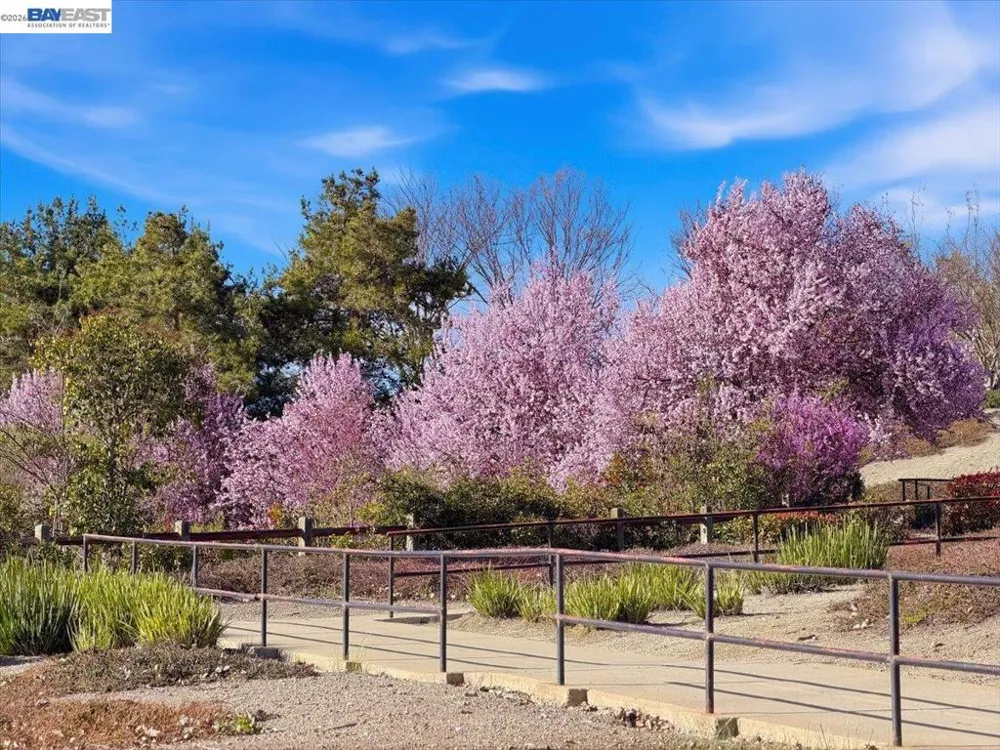 2006 Trefoil Rd San Ramon, CA 94582