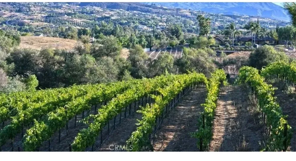 39850 Kapalua Way Temecula, CA 92592