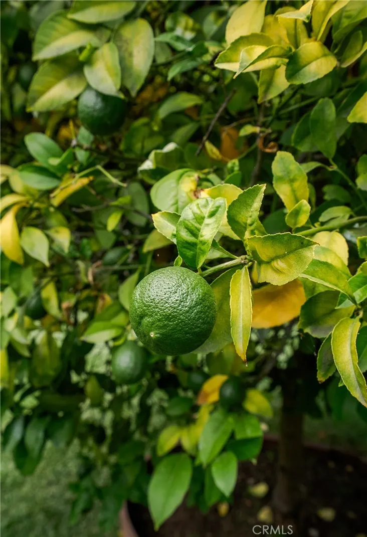 2411 3rd La Verne, CA 91750