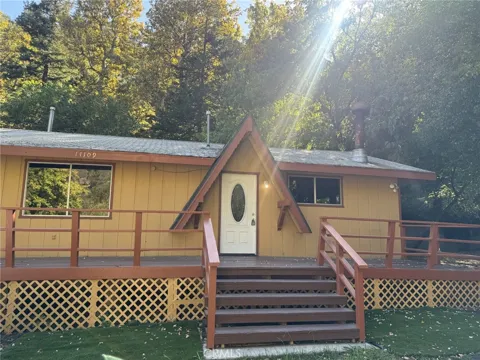 14109 Meadow
