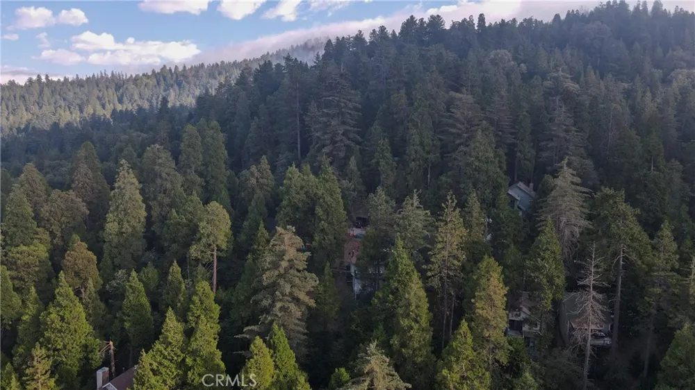 23747 Bowl Crestline, CA 92325