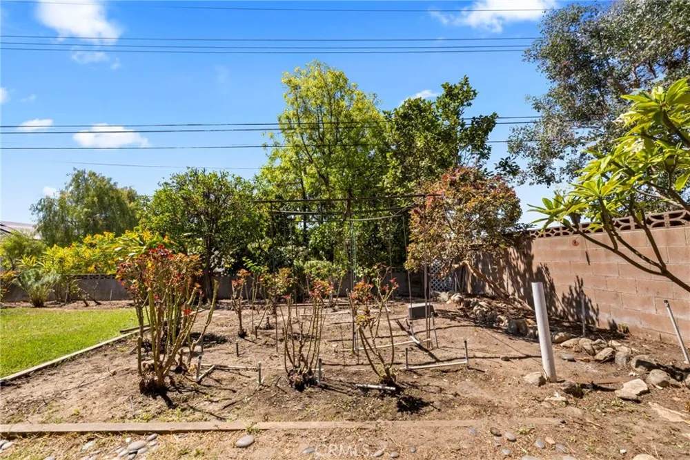 956 W 14th Street Upland, CA 91786