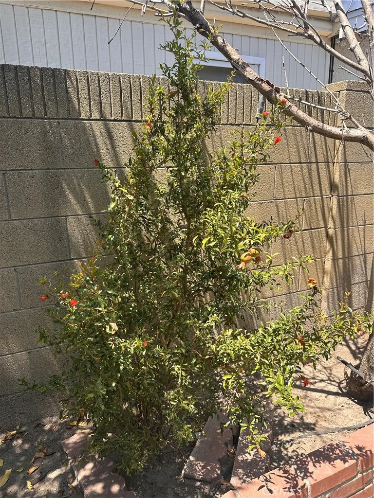 10744 Andy Cerritos, CA 90703