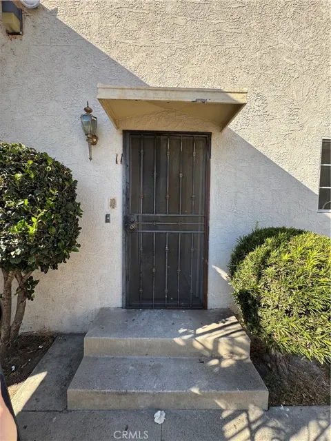 921 Carob