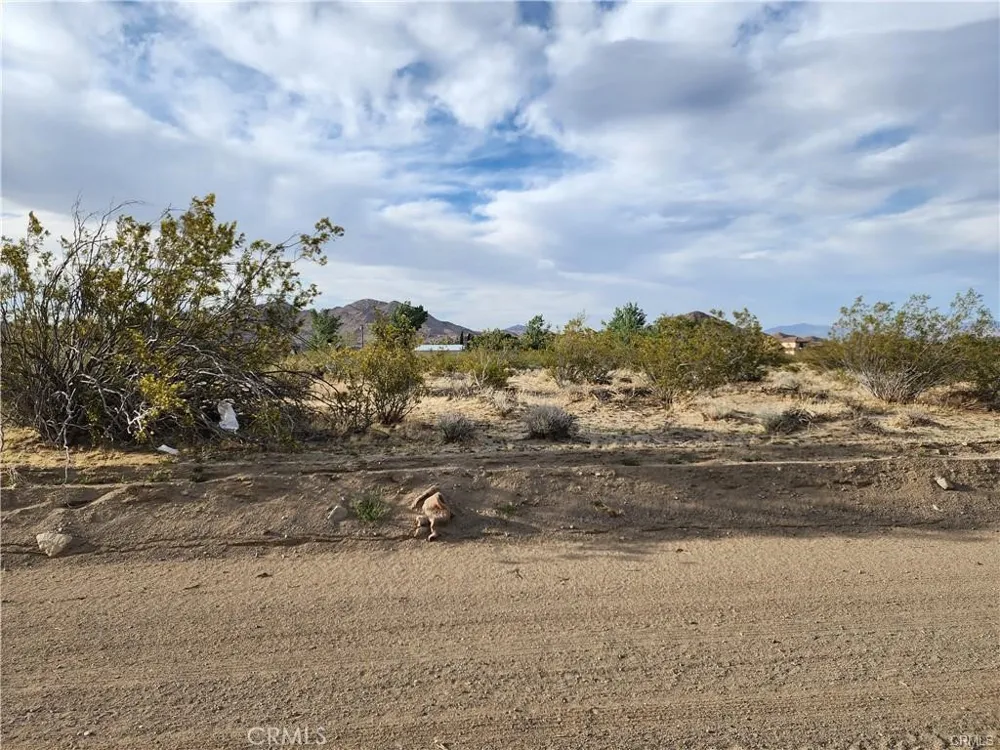 502 Morningside Street Lucerne Valley, CA 92356