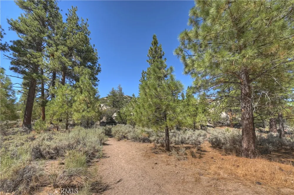 1124 Myrtle Avenue Big Bear City, CA 92314