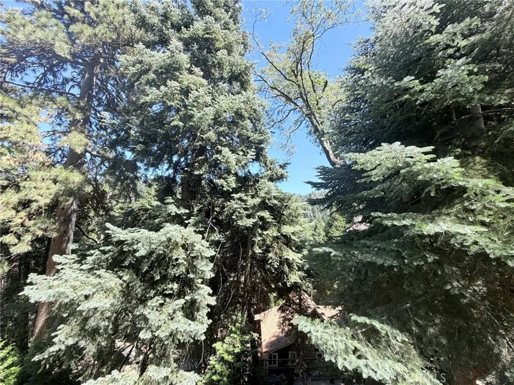 659 Virginia Ct. Court Lake Arrowhead, CA 92352