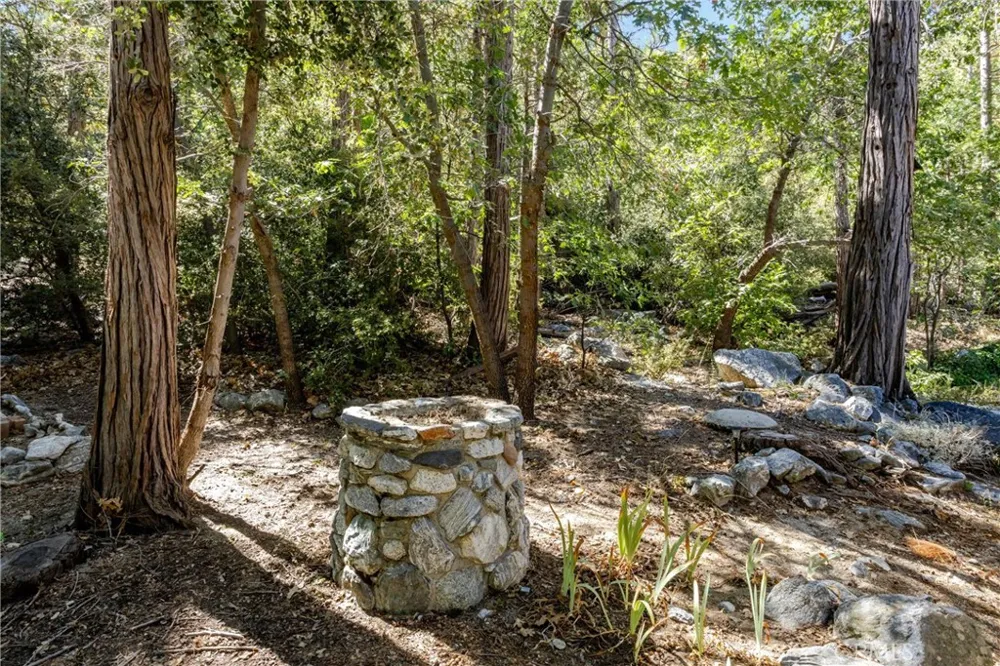 40433 Valley Of The Falls Forest Falls, CA 92339