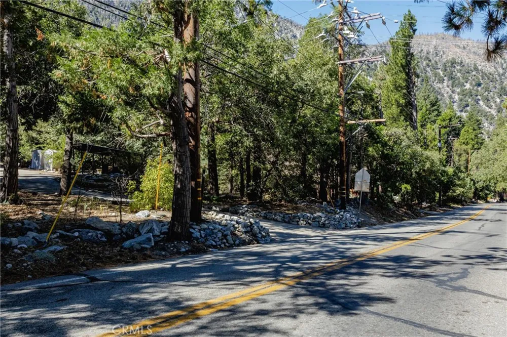 40433 Valley Of The Falls Forest Falls, CA 92339