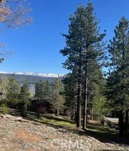 39405 Garden Place Fawnskin, CA 92333