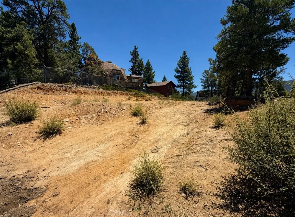 1084 Cedar Mountain Road Big Bear City, CA 92314