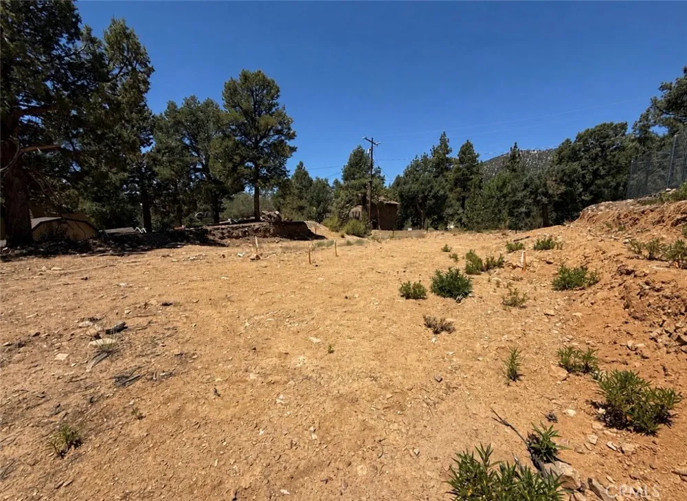 1084 Cedar Mountain Road Big Bear City, CA 92314