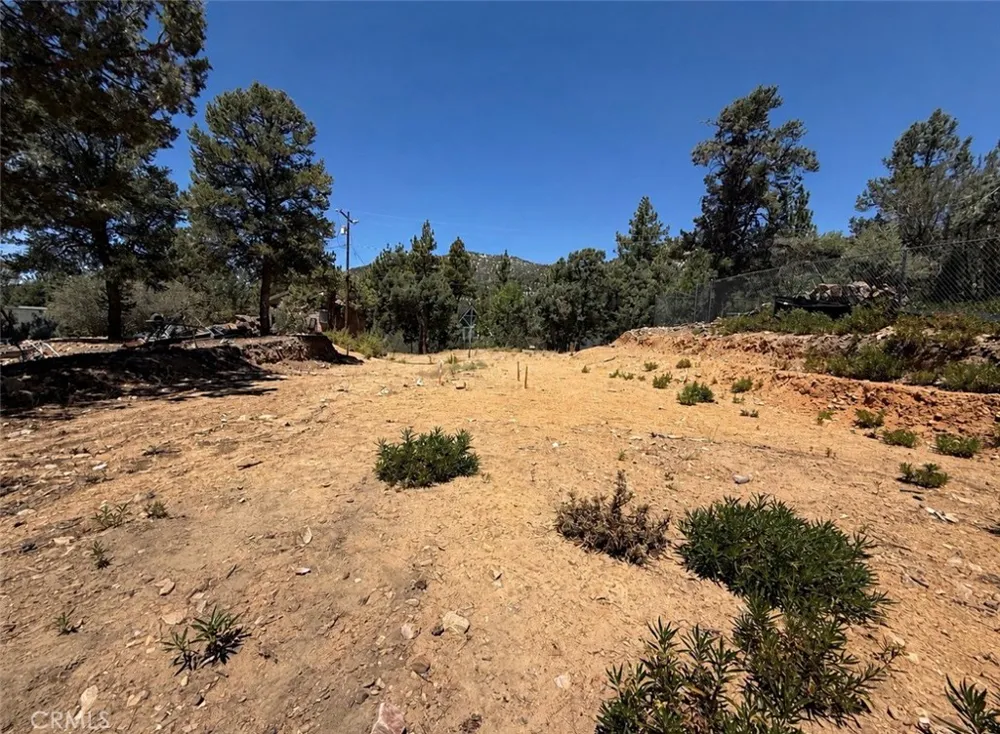 1084 Cedar Mountain Road Big Bear City, CA 92314