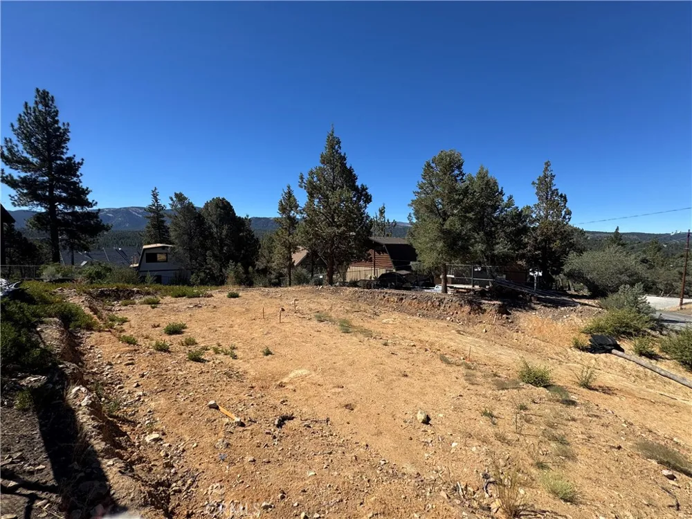 1084 Cedar Mountain Road Big Bear City, CA 92314