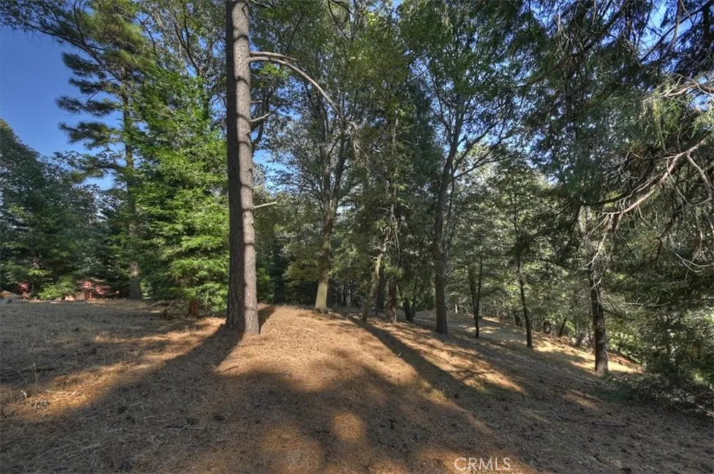 Pine Cedarpines Park, CA 92322