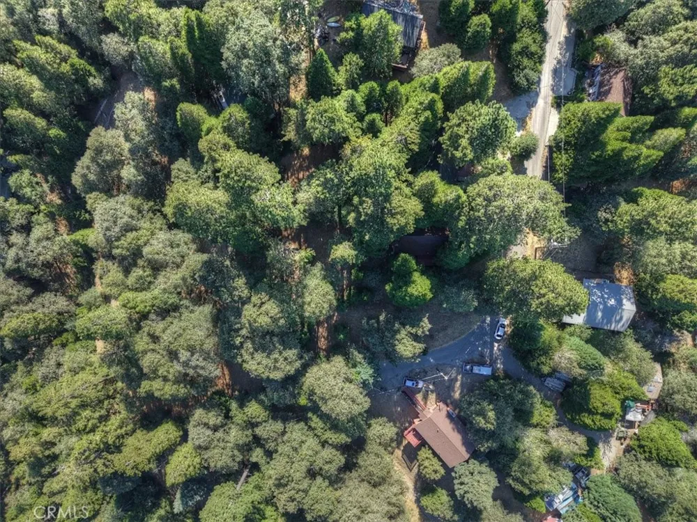 Pine Cedarpines Park, CA 92322