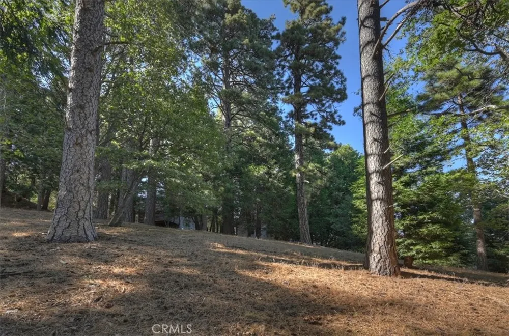 Pine Cedarpines Park, CA 92322