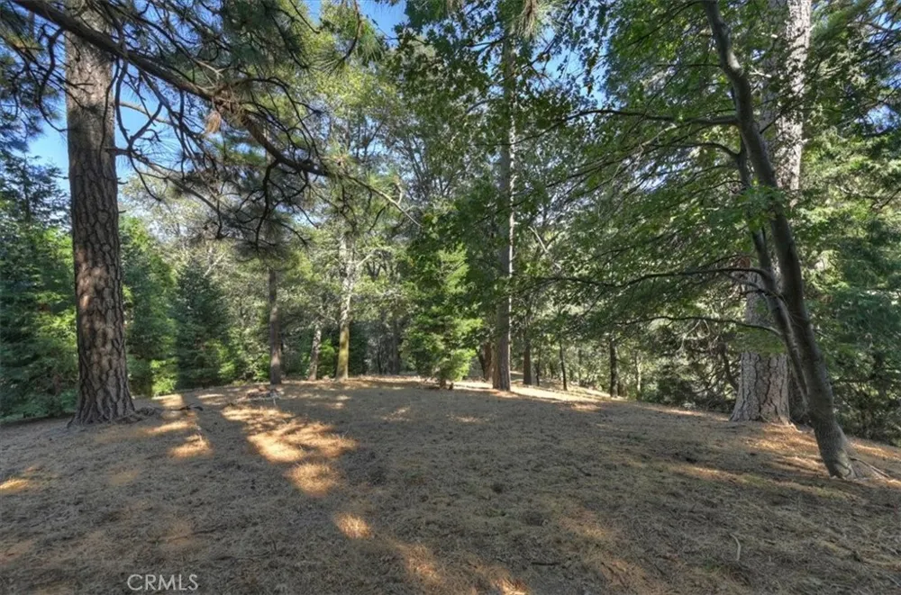 Pine Cedarpines Park, CA 92322
