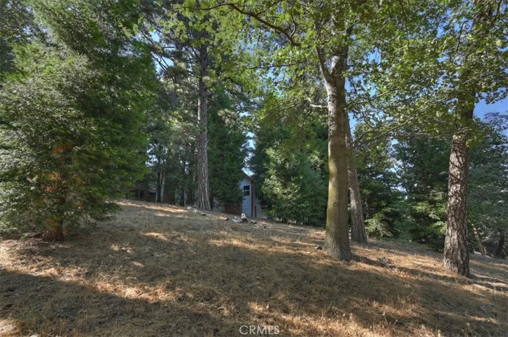Pine Cedarpines Park, CA 92322