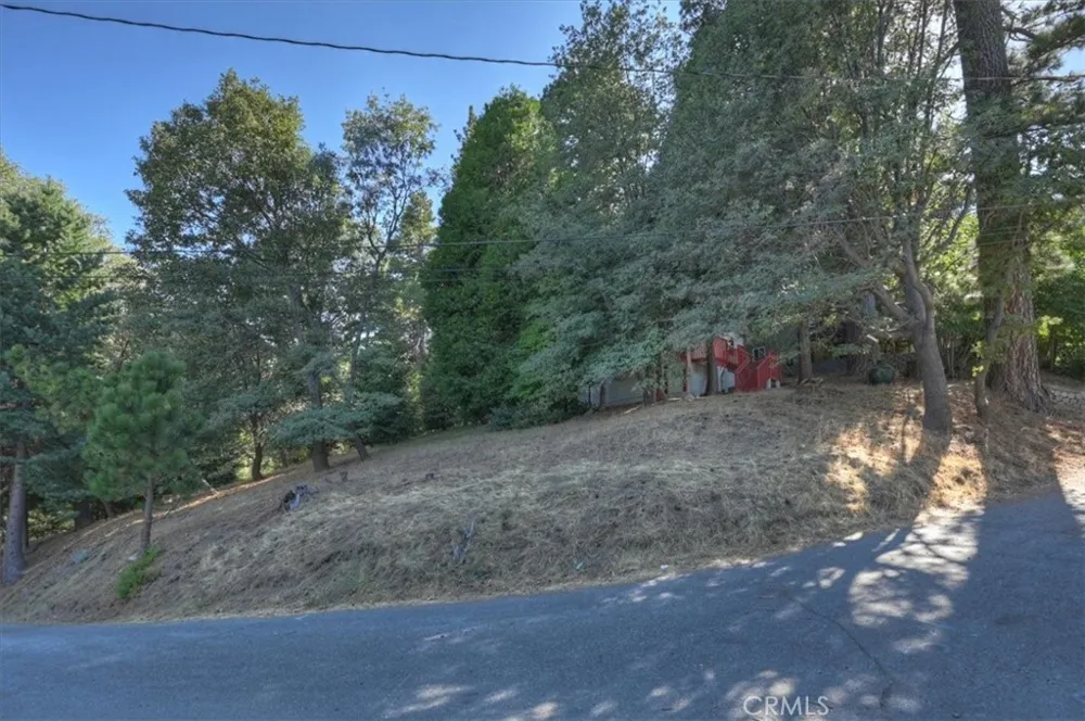 22421 Pine Cedarpines Park, CA 92322