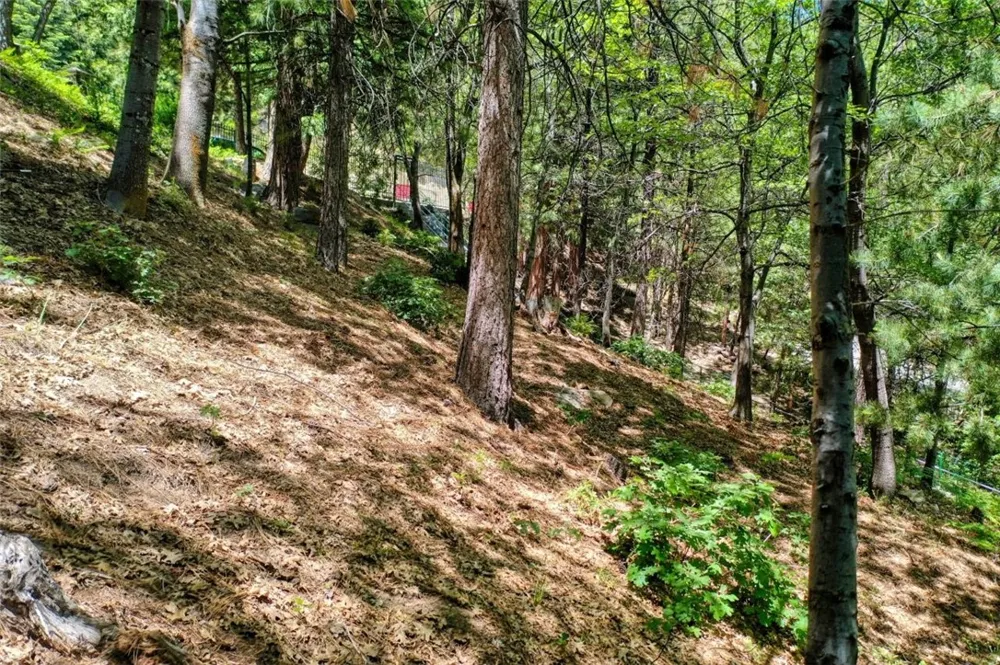 27457 North Bay Lake Arrowhead, CA 92352