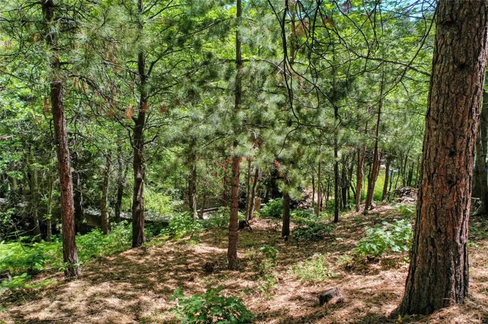 27457 North Bay Lake Arrowhead, CA 92352