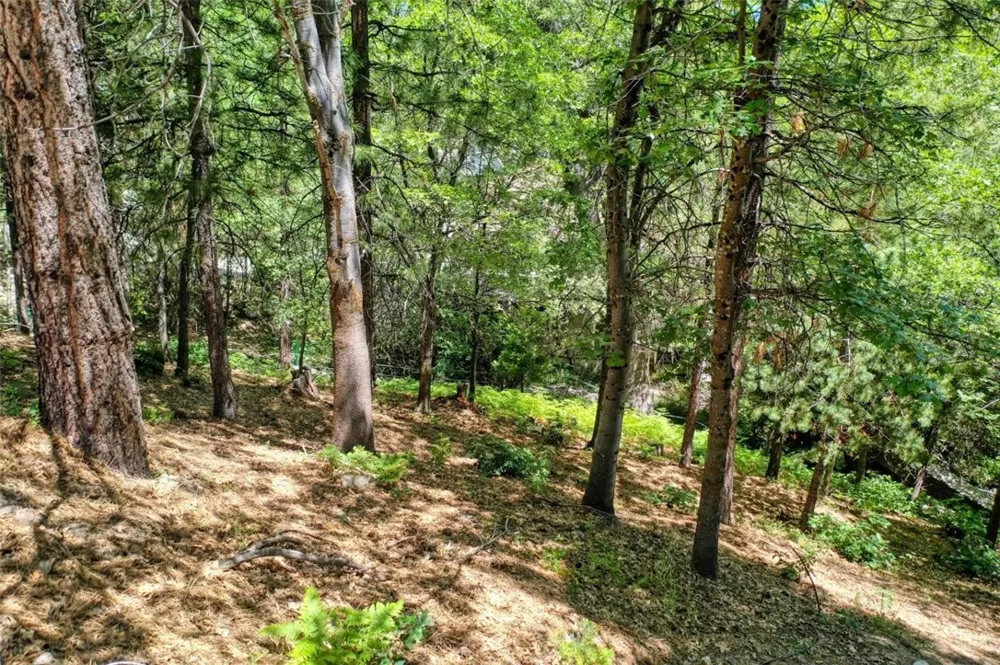 27457 North Bay Lake Arrowhead, CA 92352