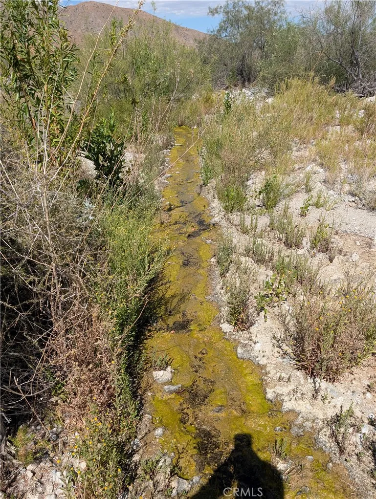 49170 Via Hacienda Morongo Valley, CA 92256
