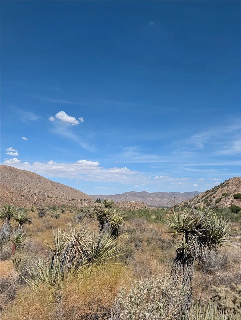 49170 Via Hacienda Morongo Valley, CA 92256
