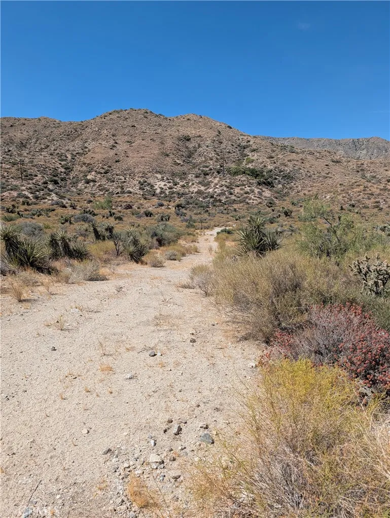 49170 Via Hacienda Morongo Valley, CA 92256