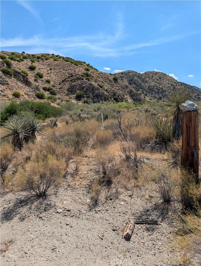 49170 Via Hacienda Morongo Valley, CA 92256
