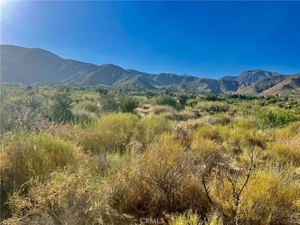 49200 Old Mill Morongo Valley, CA 92256