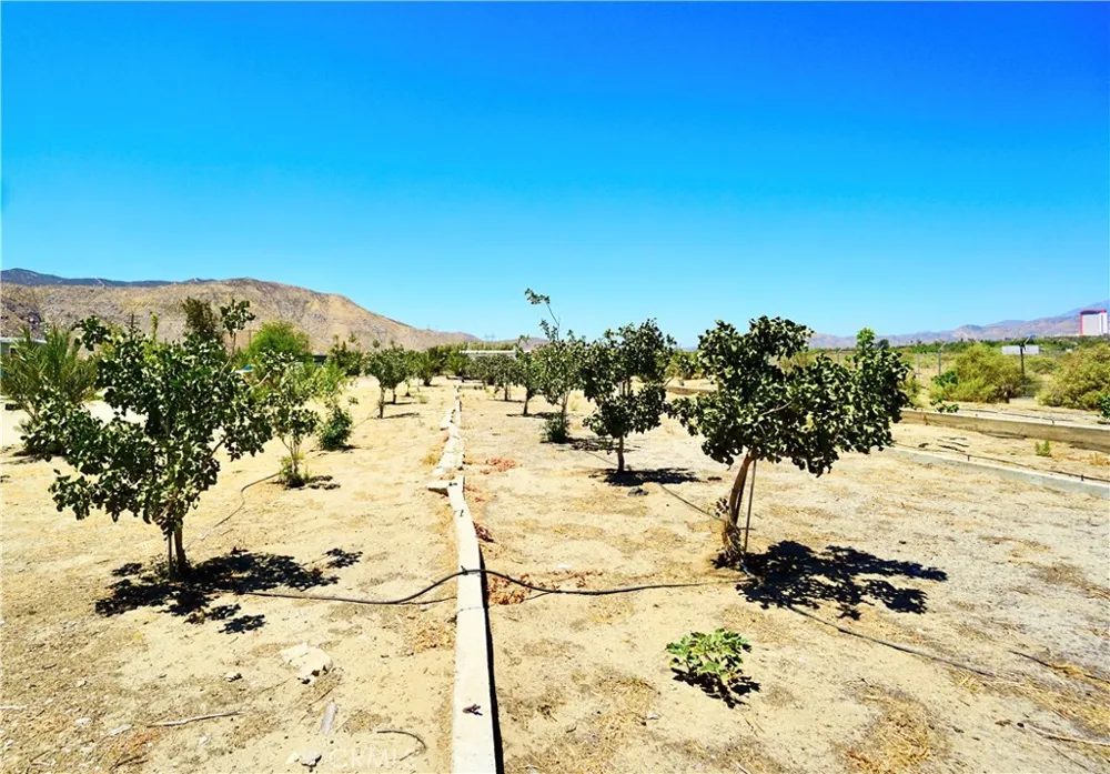 14993 Broadway Cabazon, CA 92230