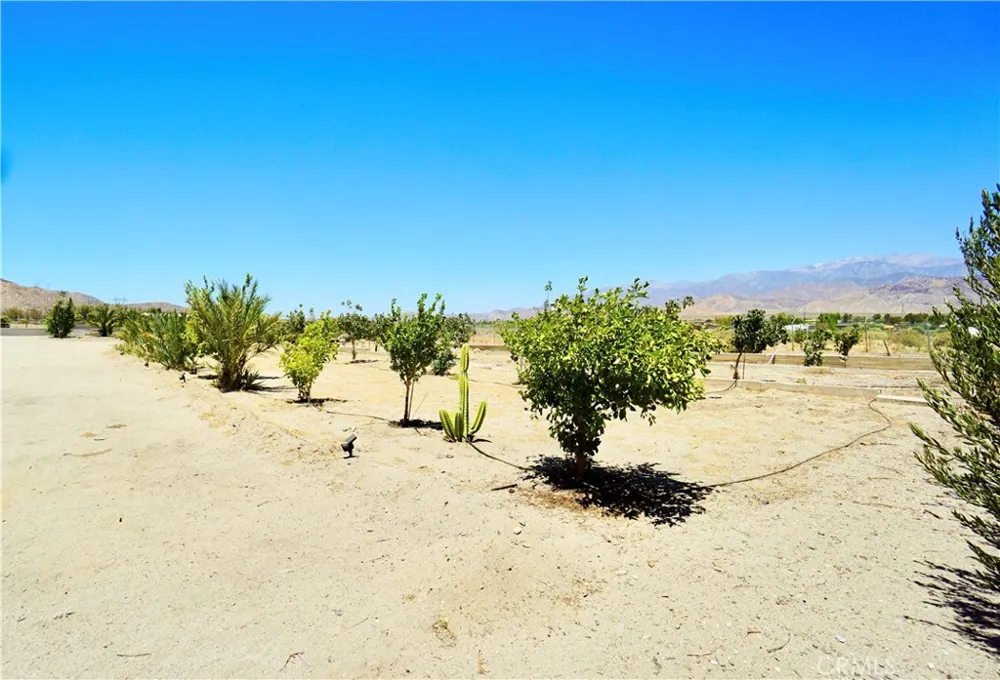 14993 Broadway Cabazon, CA 92230