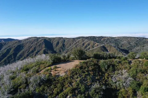 1 Twin Peaks