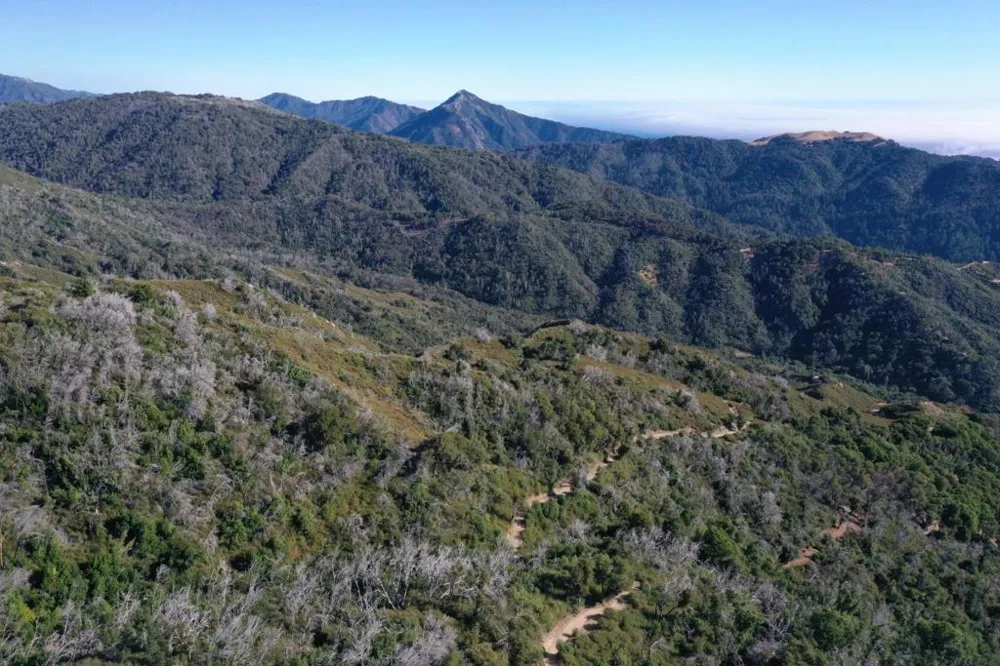 1 Twin Peaks Carmel, CA 93923