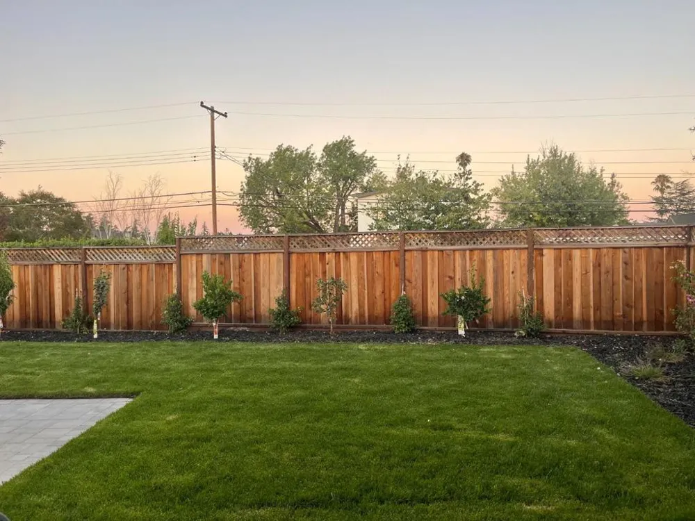 432 Virginia Avenue Campbell, CA 95008