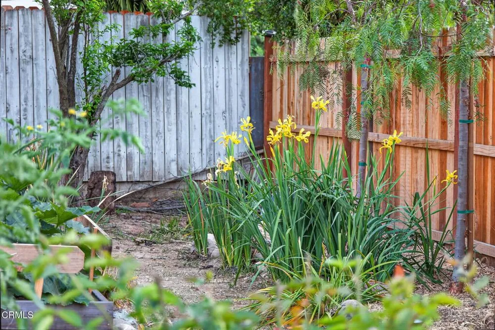 228 High Street Oak View, CA 93022
