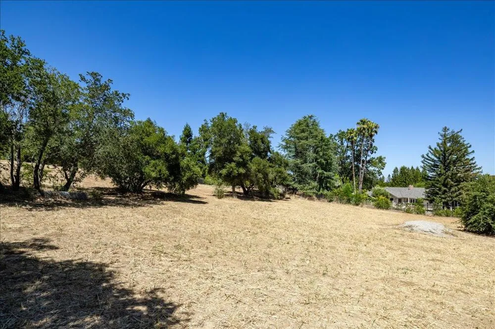 14171 Chester Avenue Saratoga, CA 95070